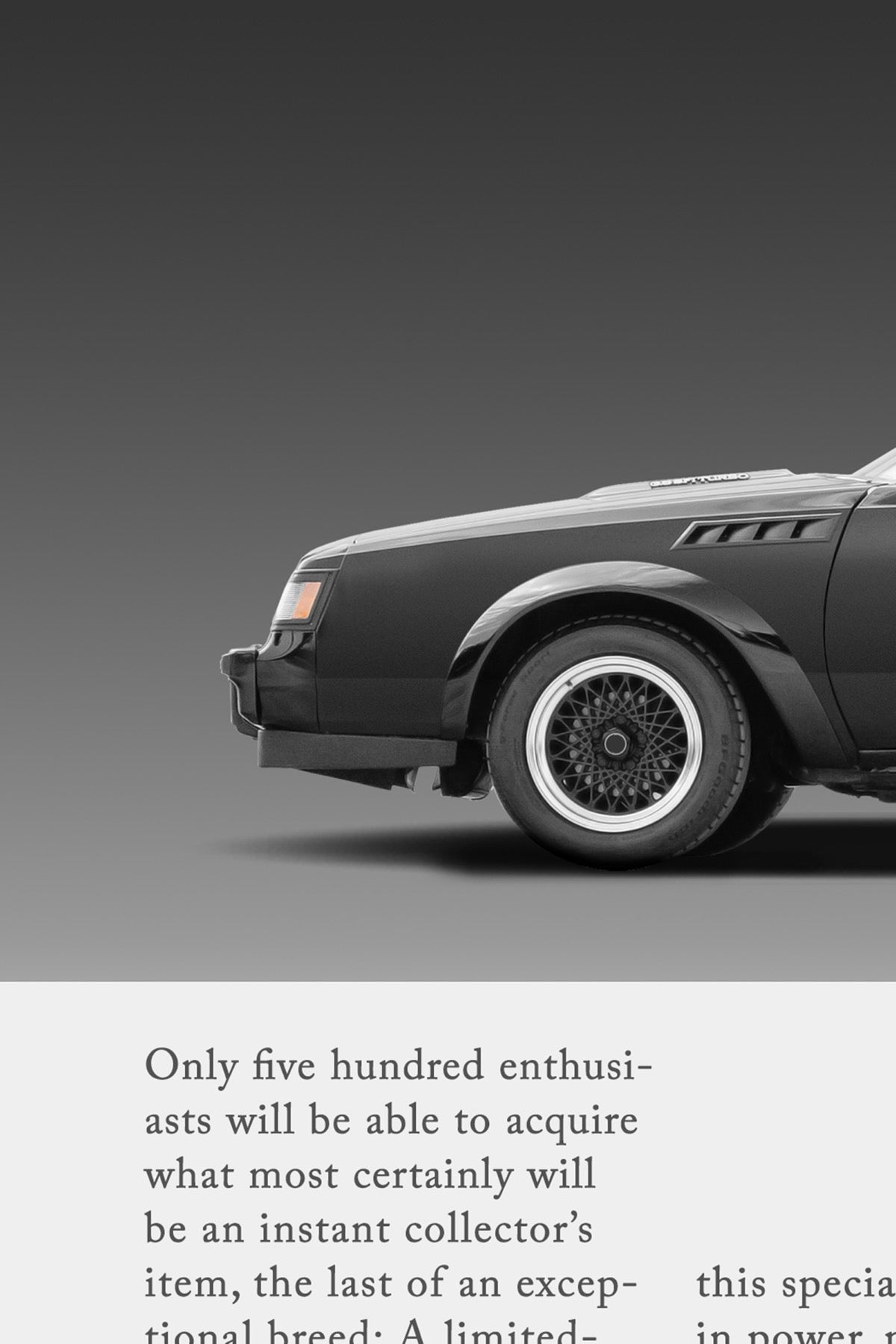 Buick GNX Print Ad - Fortunate 500