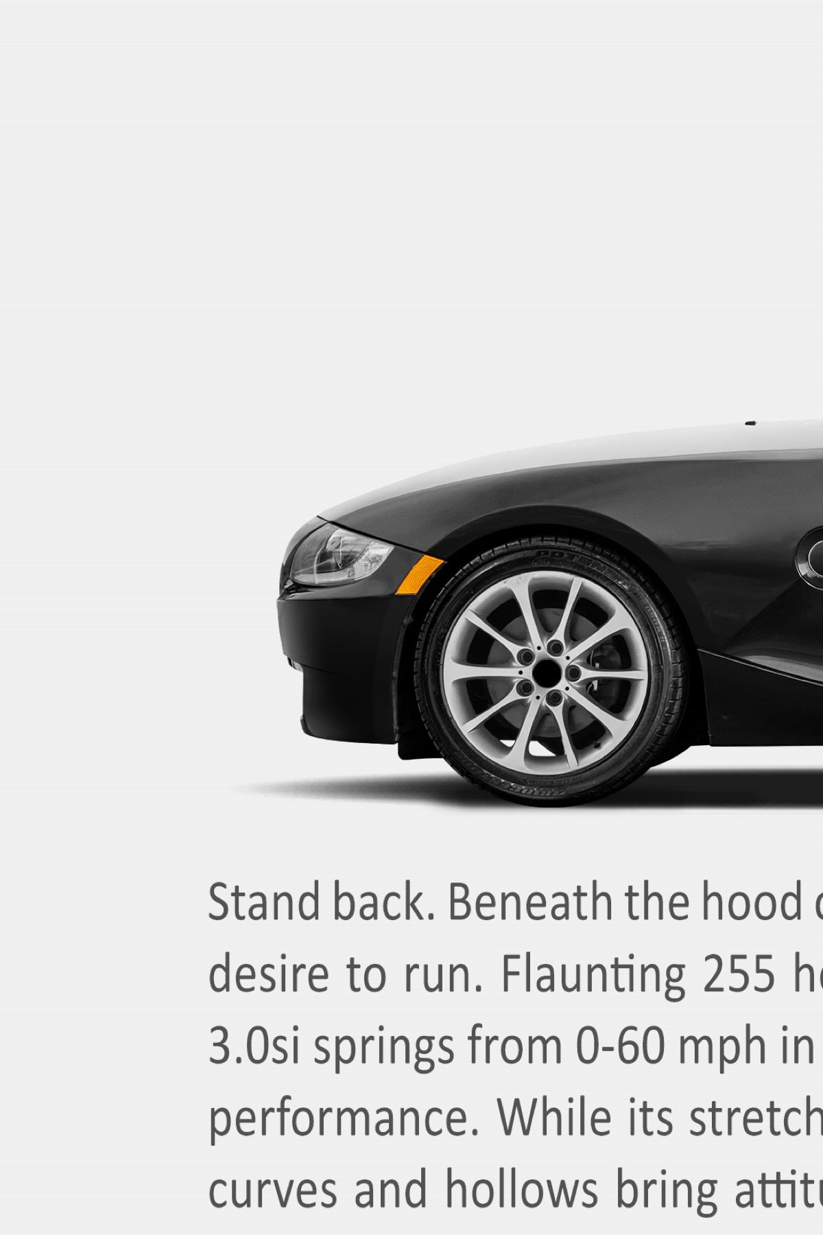 BMW Z4 (E85) Remastered Print Ad - Today's Forecast